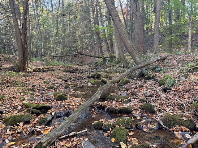 262 Shelby Ln, Northampton Township, PA 15538 - view of undeveloped land