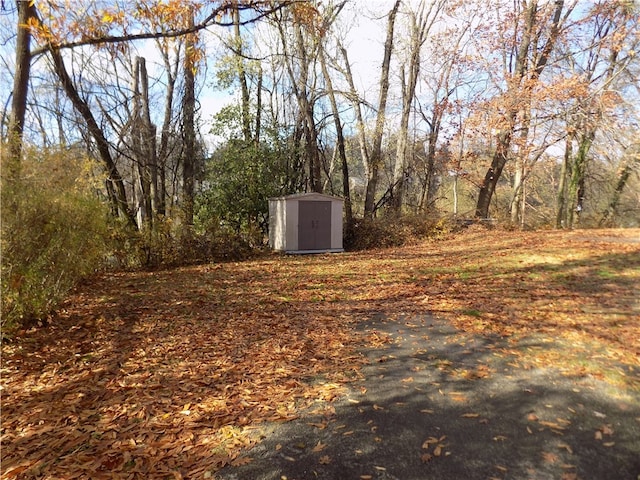 view of yard with a storage shed