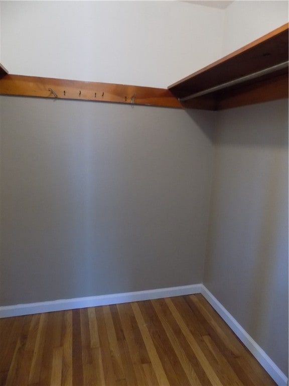 walk in closet with hardwood / wood-style floors