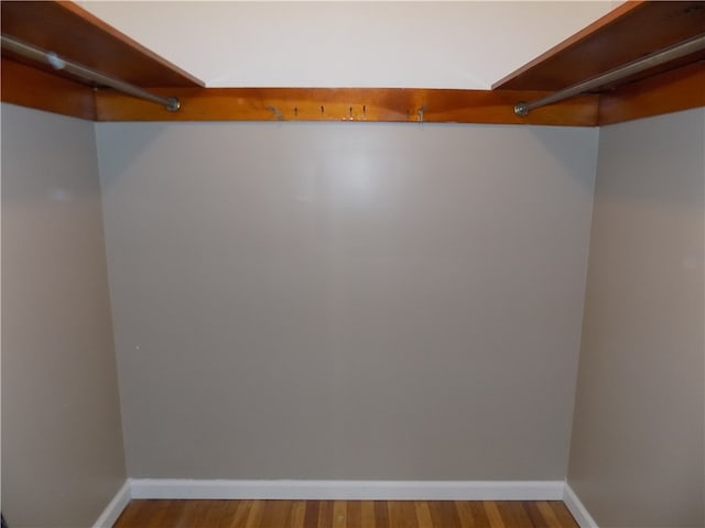 walk in closet with hardwood / wood-style flooring