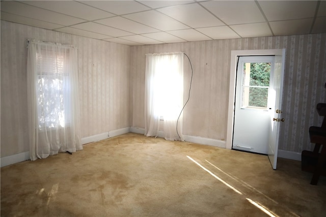 empty room featuring a drop ceiling and carpet floors