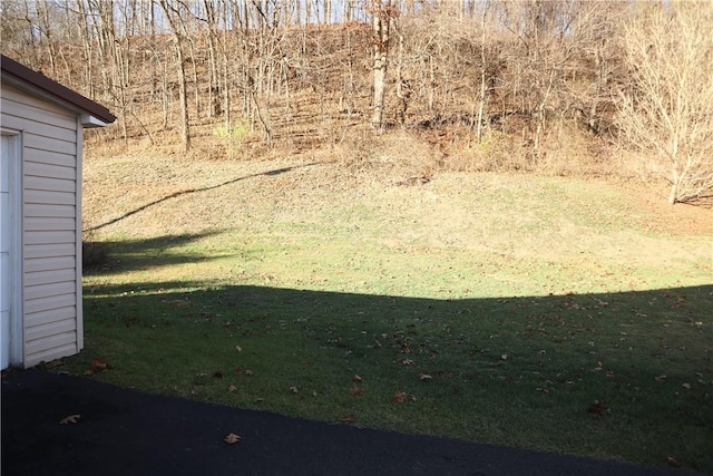 497 Pike Run Dr, W Pike Run Twp, PA 15427 - view of green lawn