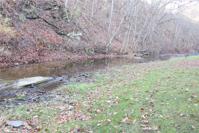 497 Pike Run Dr, W Pike Run Twp, PA 15427 - view of yard