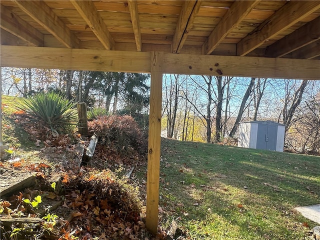 view of yard with a storage unit