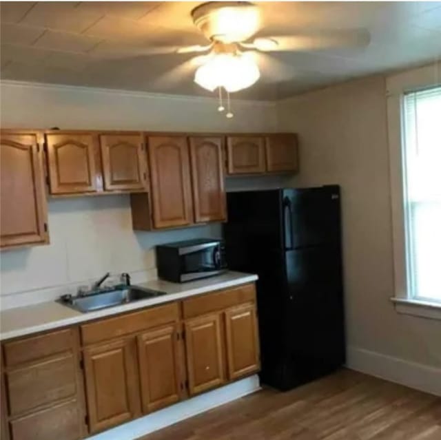 kitchen featuring black refrigerator, a wealth of natural light, sink, and light hardwood / wood-style floors