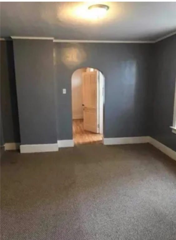 spare room featuring crown molding and carpet