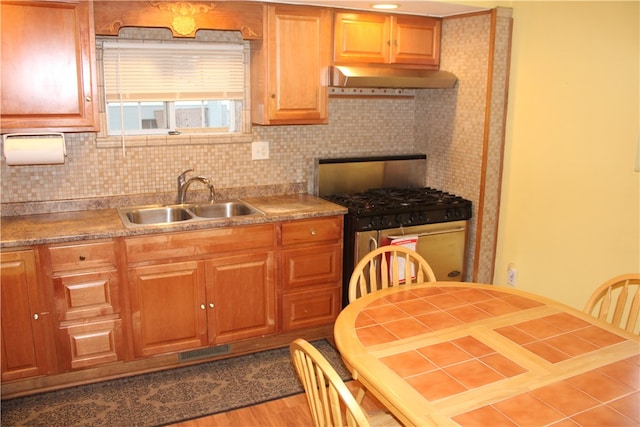 kitchen with stainless steel range with gas cooktop, light hardwood / wood-style floors, sink, and backsplash