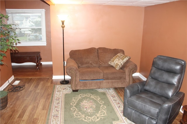 living room with hardwood / wood-style flooring