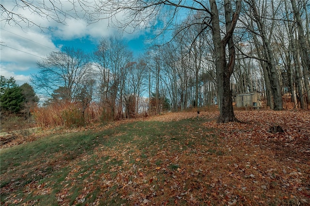 view of local wilderness