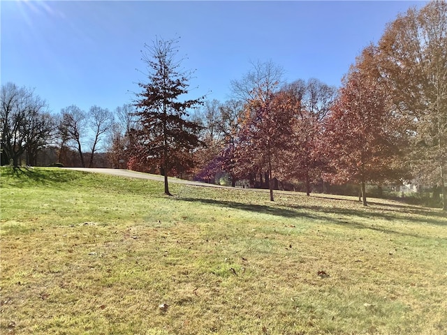 view of yard with a rural view