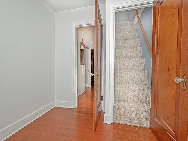 staircase with wood-type flooring