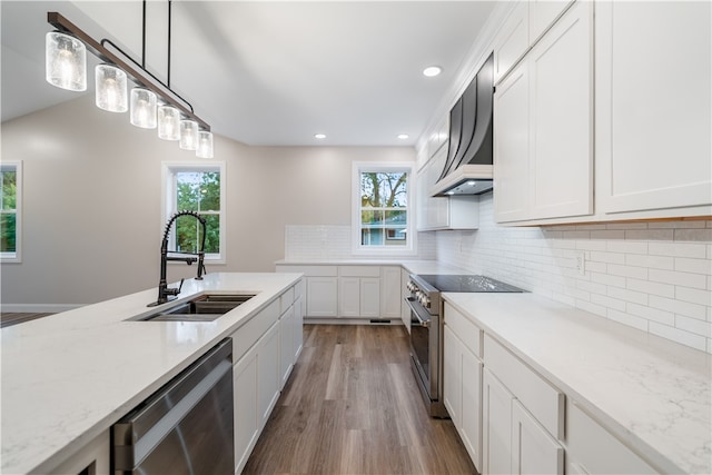 kitchen featuring a wealth of natural light, appliances with stainless steel finishes, hardwood / wood-style floors, and sink