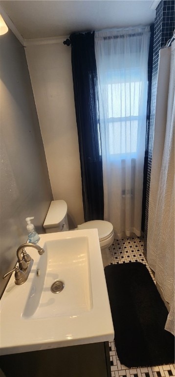 bathroom featuring toilet, sink, and crown molding