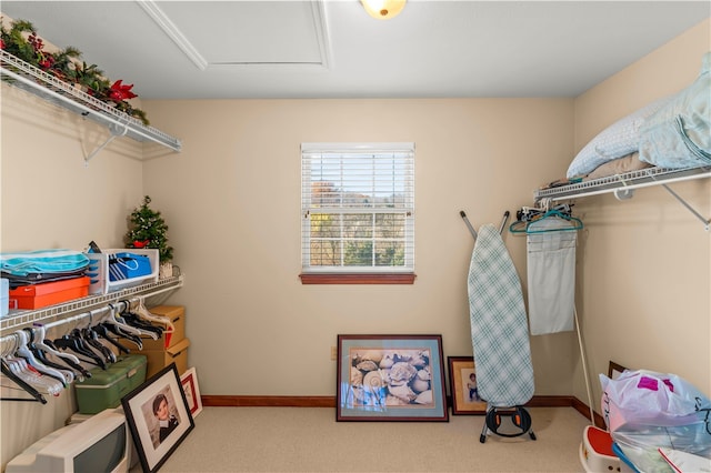 walk in closet with carpet flooring