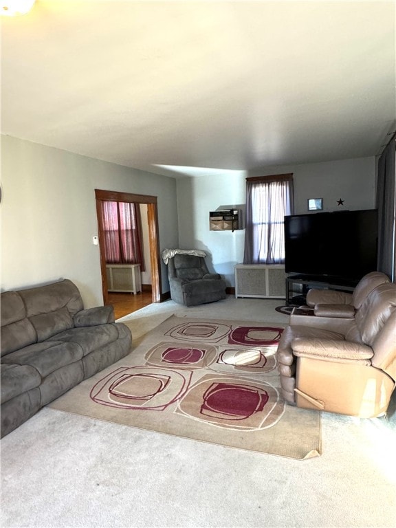 living room with carpet flooring