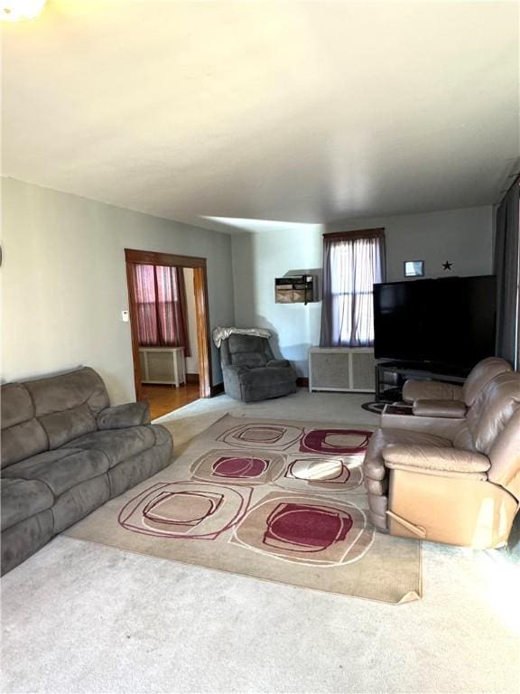 1300 Sycamore St, Connellsville, PA 15425 - view of carpeted living room