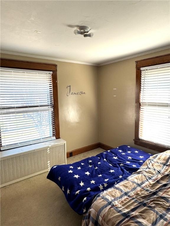 1300 Sycamore St, Connellsville, PA 15425 - bedroom with radiator, multiple windows, carpet flooring, and crown molding