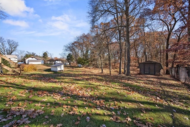 view of yard with a storage unit