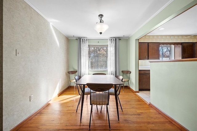 dining area with crown molding and light hardwood / wood-style flooring