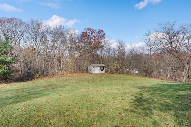 view of yard with a shed