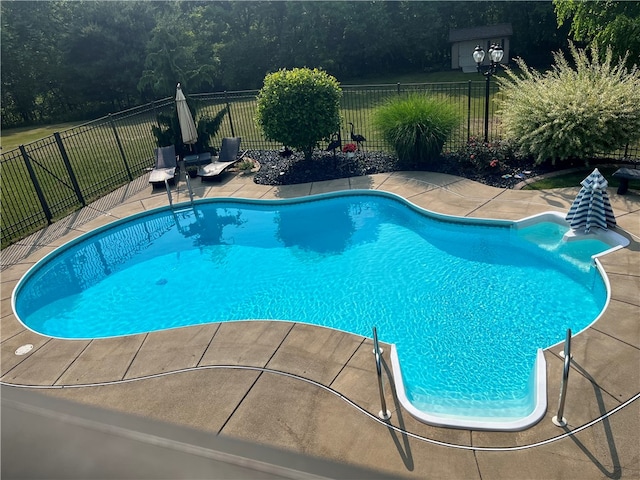 view of swimming pool featuring a patio area