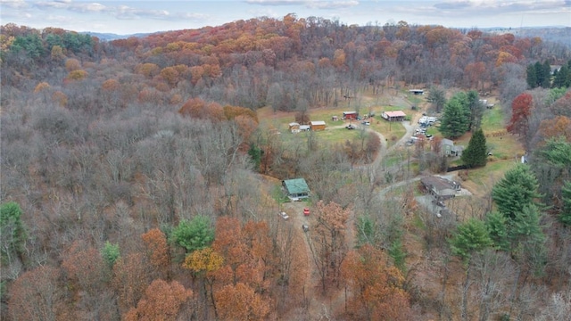 139 Willow Rd, Washington Twp Wml, PA 15613 - aerial view of property's location with a heavily wooded area
