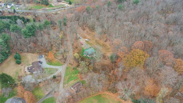 139 Willow Rd, Washington Twp Wml, PA 15613 - aerial view of property's location