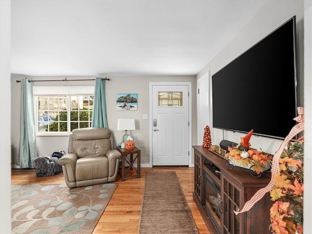 living room featuring light hardwood / wood-style floors