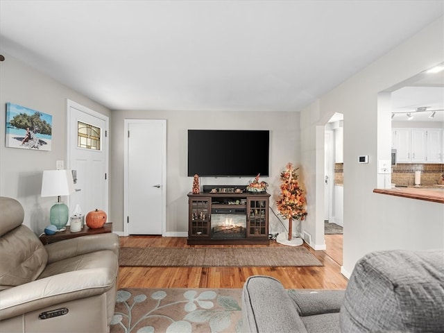 living room featuring hardwood / wood-style floors