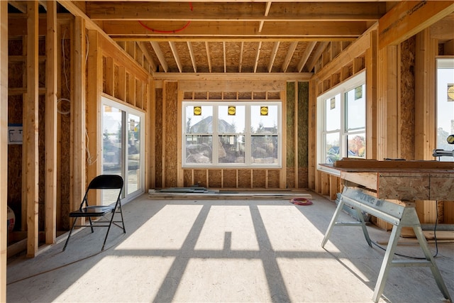 miscellaneous room with plenty of natural light