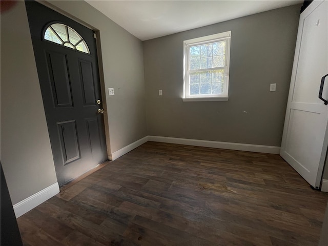 foyer with dark hardwood / wood-style flooring