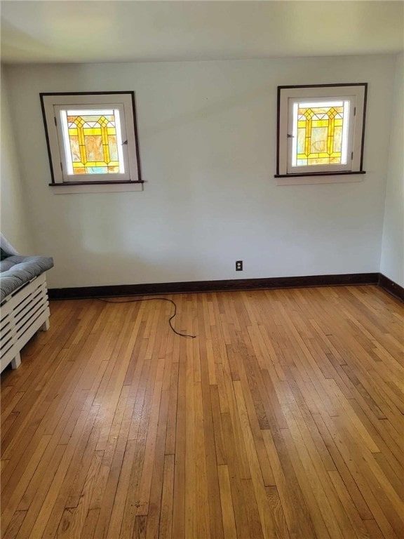 spare room with plenty of natural light and light wood-type flooring