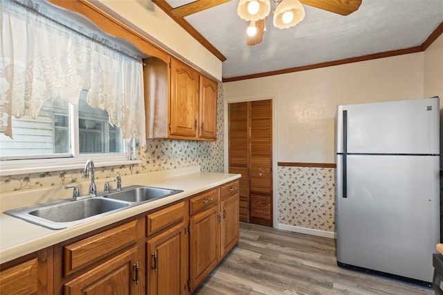 kitchen with stainless steel refrigerator, sink, ornamental molding, ceiling fan, and light wood-type flooring