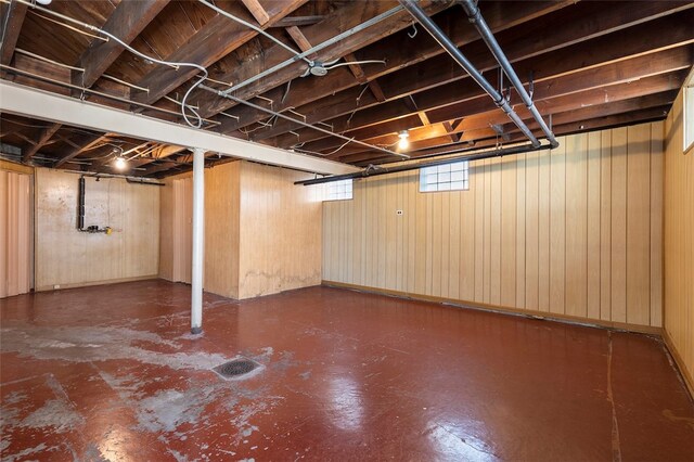 basement with wooden walls