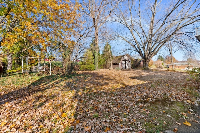 view of yard with a shed