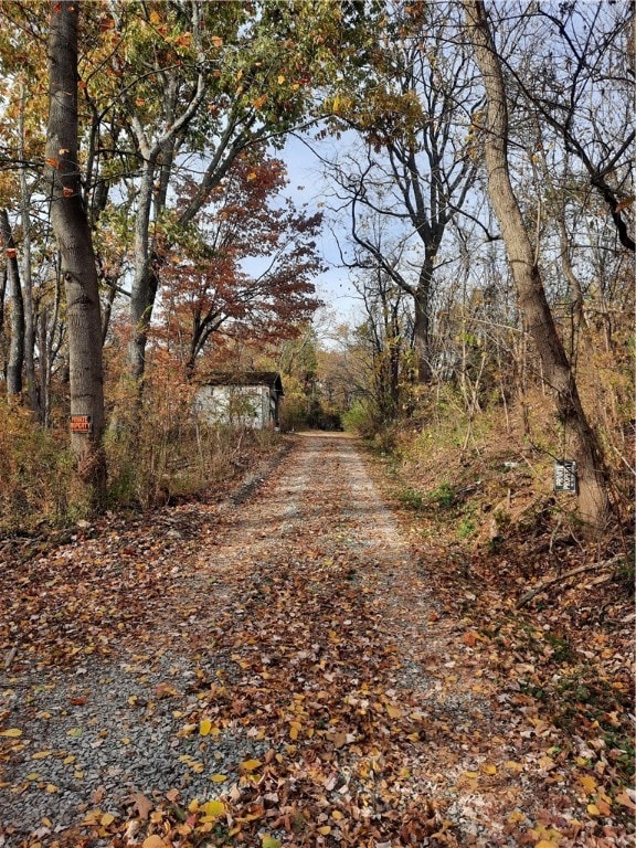 view of road