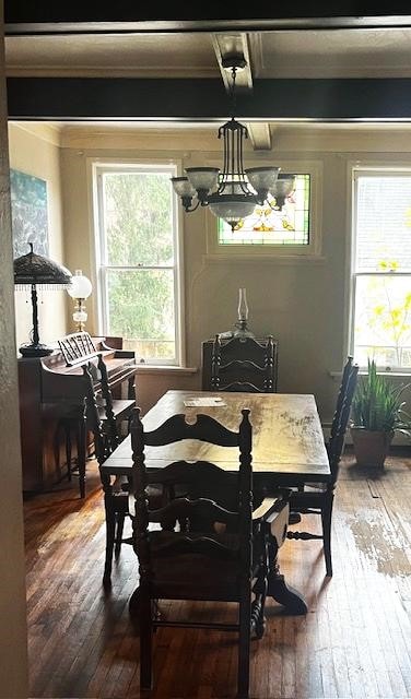 dining room with wood-type flooring, a healthy amount of sunlight, and ornamental molding