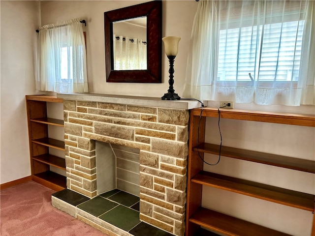 room details with carpet flooring and a fireplace