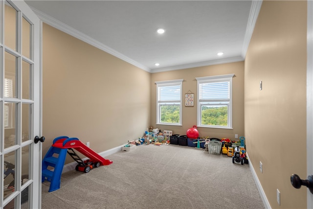 recreation room with crown molding and carpet floors