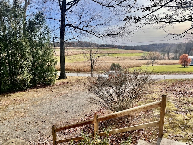 view of yard with a rural view