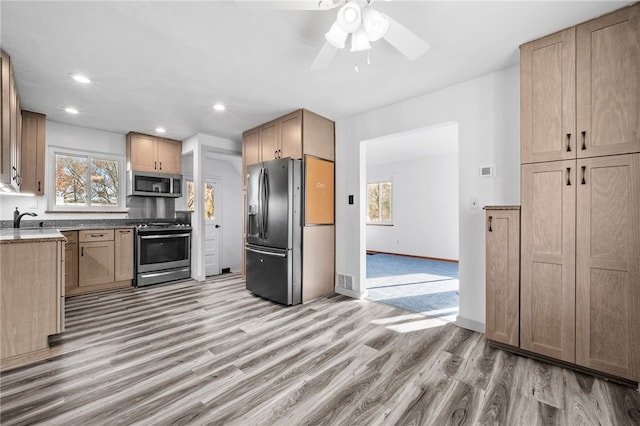 kitchen featuring a healthy amount of sunlight, light hardwood / wood-style flooring, and stainless steel appliances