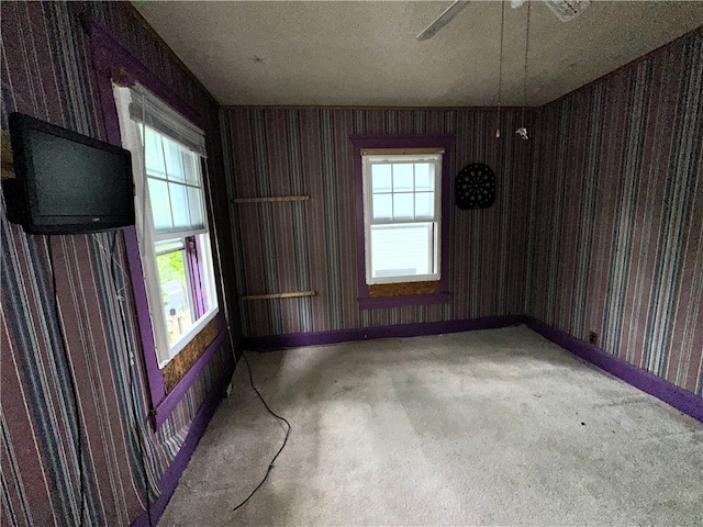 carpeted empty room featuring a textured ceiling and a wealth of natural light