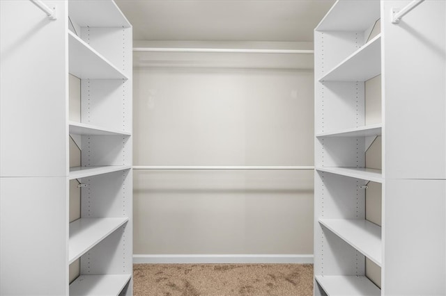 walk in closet featuring carpet