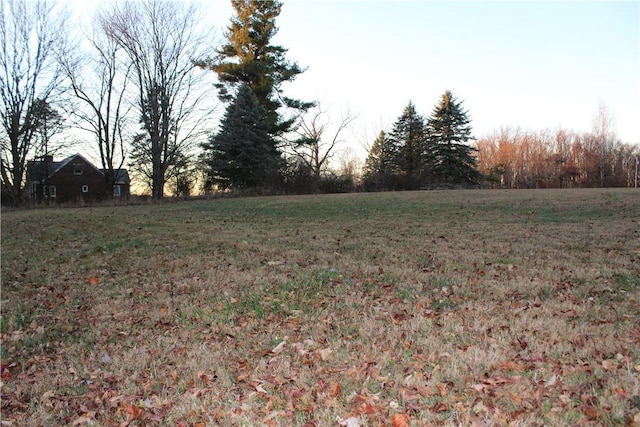 view of yard with a rural view