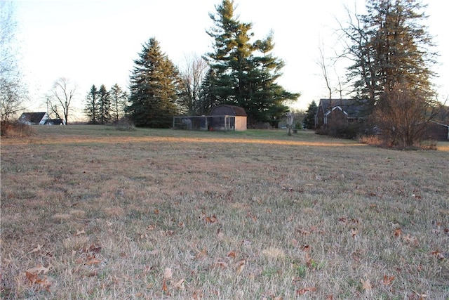 view of yard featuring a storage unit