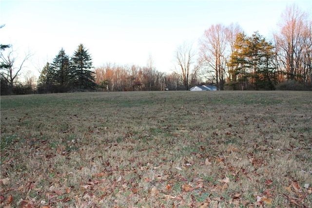 view of yard with a rural view