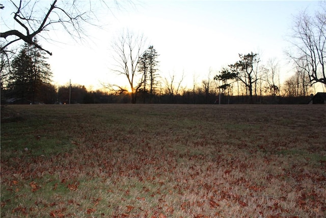 view of yard at dusk