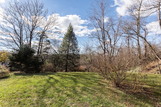 view of yard
