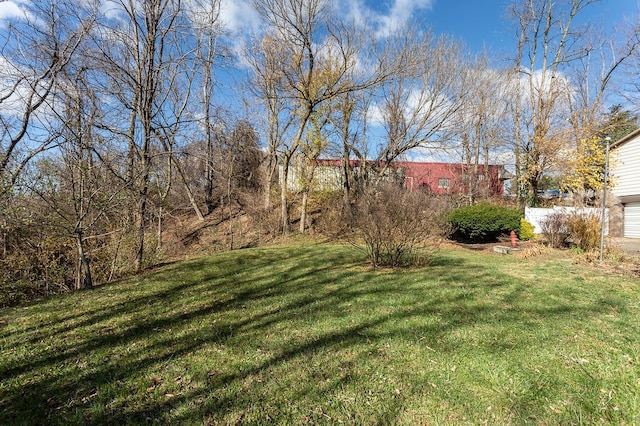 view of yard