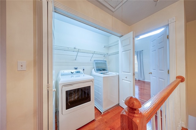 laundry area featuring light hardwood / wood-style floors and independent washer and dryer